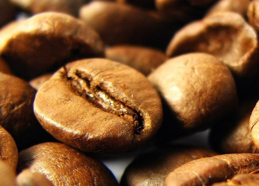 Amano showcases new enzymes for tea, coffee, protein beverages at IFT 2019