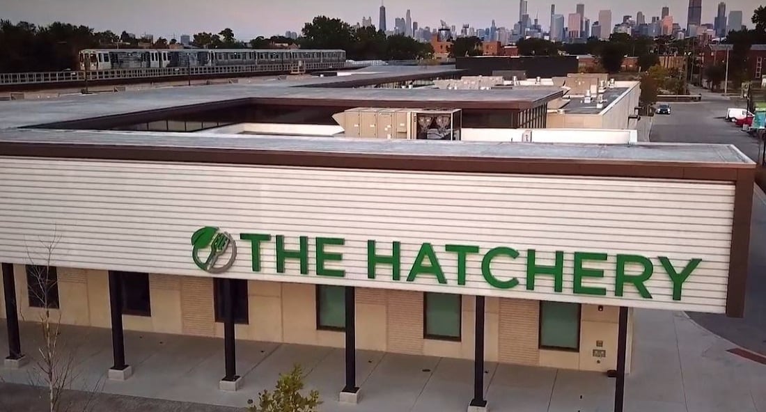 Univar Solutions partners with The Hatchery to bring creative new food solutions to market