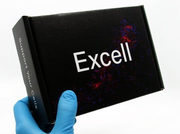 2020-03-09-16_46_34-Excell.png