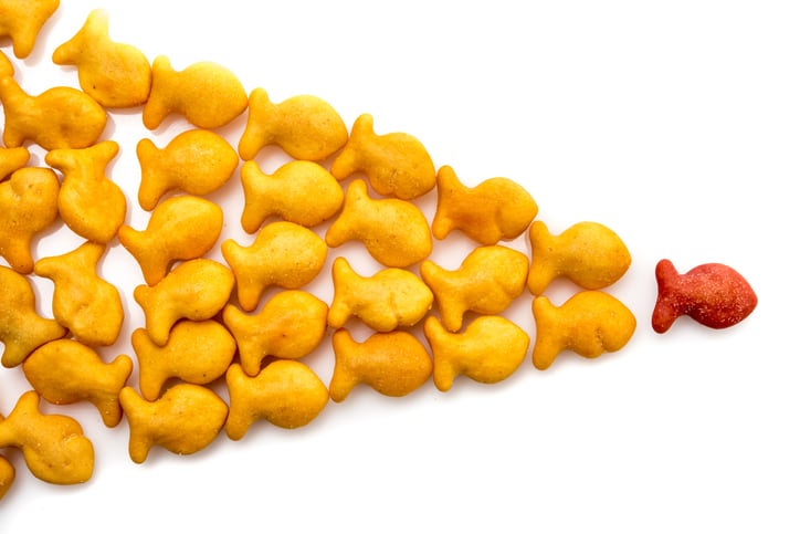 Campbell-bets-big-on-snacks-with-Goldfish-innovations-across-brands-driving-outsized-growth.jpg