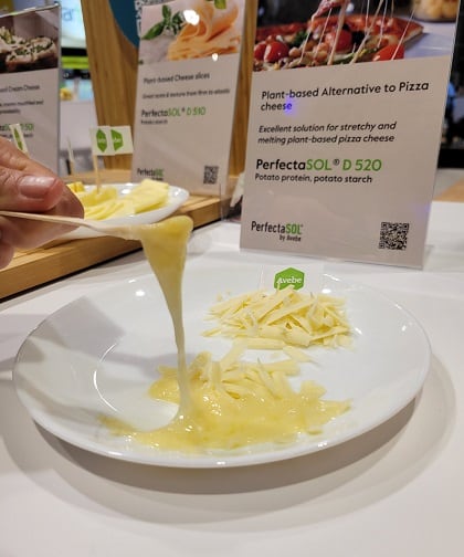 Avebe-potato-protein-demoed-in-a-cheese.jpg