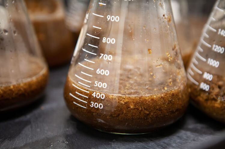 Fermenting-stage-California-Cultured.jpg