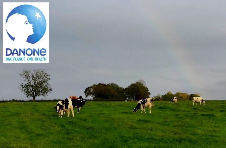 Up to 2,000 jobs to go as Danone reveals plans to “reinvent itself”
