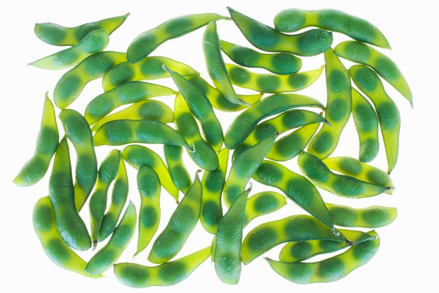 Provenance, sustainability and nutrition: the versatility of soybeans