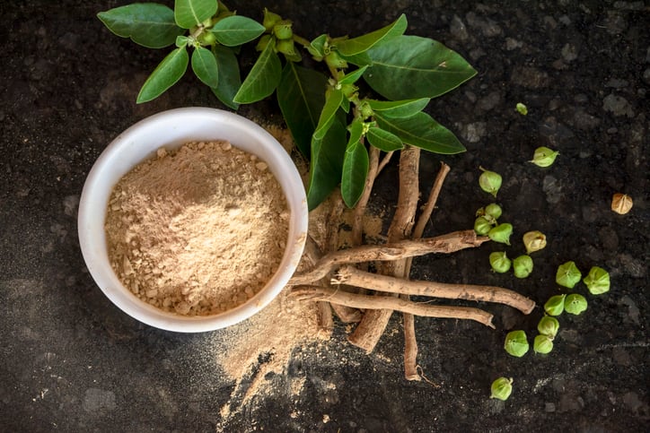 Ashwagandha concerns branded pure ‘horse s**t’: On-trend herb thrives despite authority unease