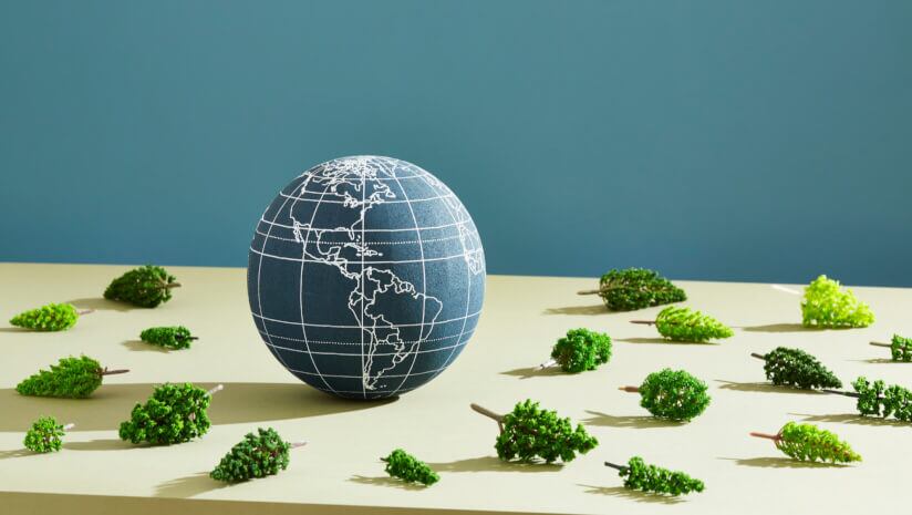 EUDR-delay-announced-by-European-Commission.jpg