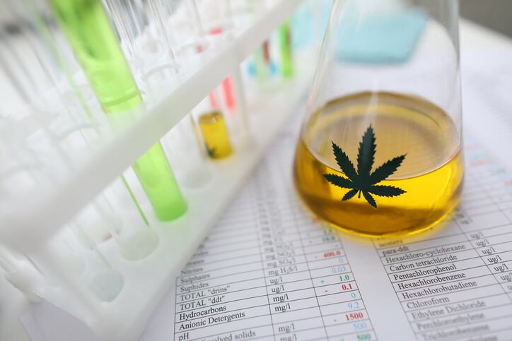 ‘A Christmas wish come true’: CBD industry celebrates as EC resumes Novel Food applications