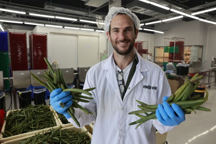 Green-vanilla-vida-pods.jpg