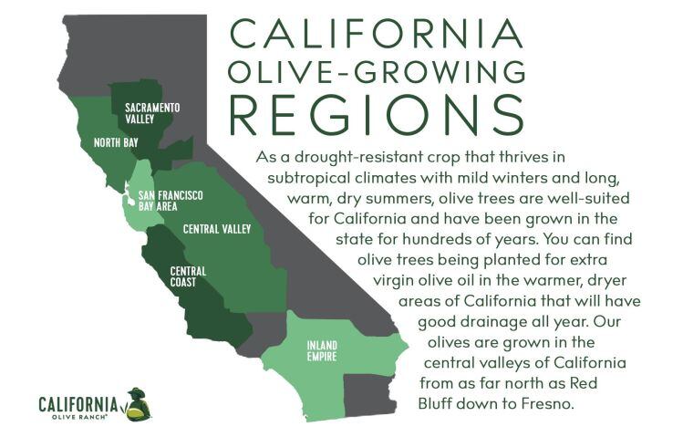 California-Olive-Ranch-olive-growing-regions-graph.jpg