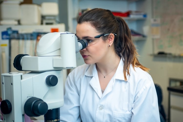 New Kerry research shows consumers more focused on food safety  