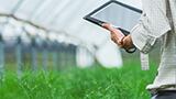 Cross-Collaboration Critical for Sustainable Innovation