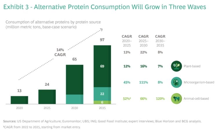 Blue-Horizon-BCG-Alternative-Protein-Report.jpg
