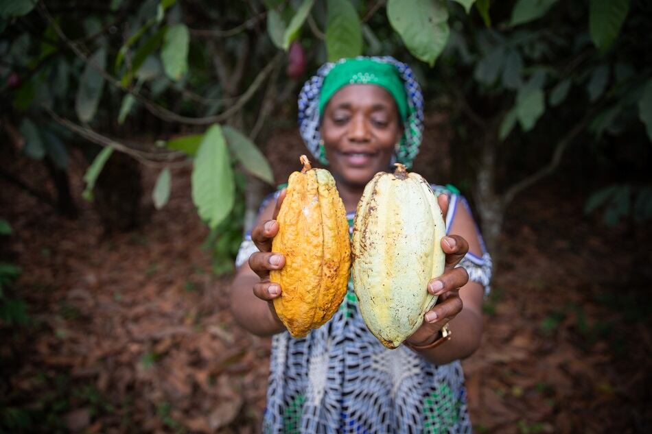 Mondelez-International-to-invest-600m-to-scale-cocoa-sustainability-program.jpg