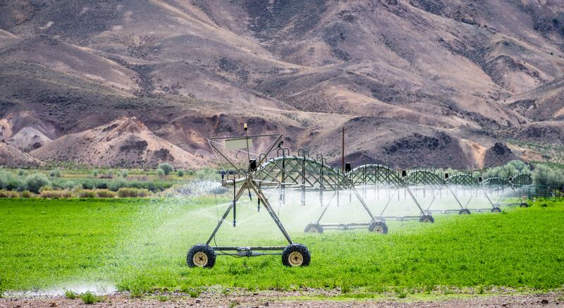 ‘Act now!’: Food firms massively unprepared as US water risks reach boiling point