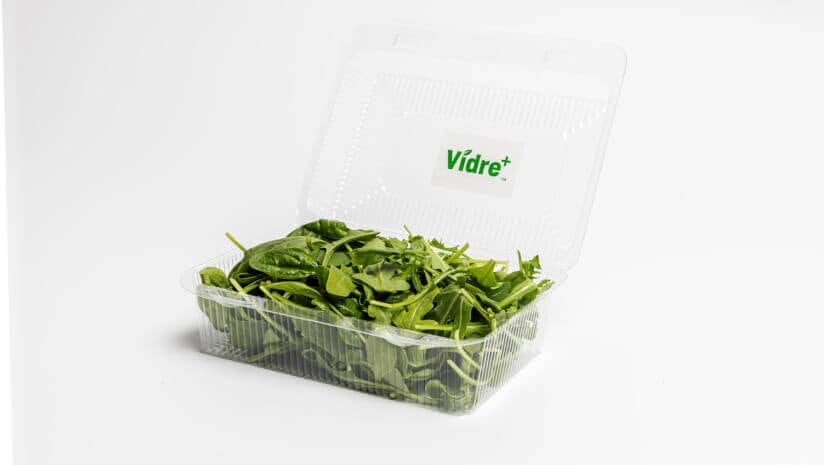 Fresh-Inset-s-packaging-technology-aims-to-reduce-food-waste-improve-produce-longevity-on-shelves.jpg