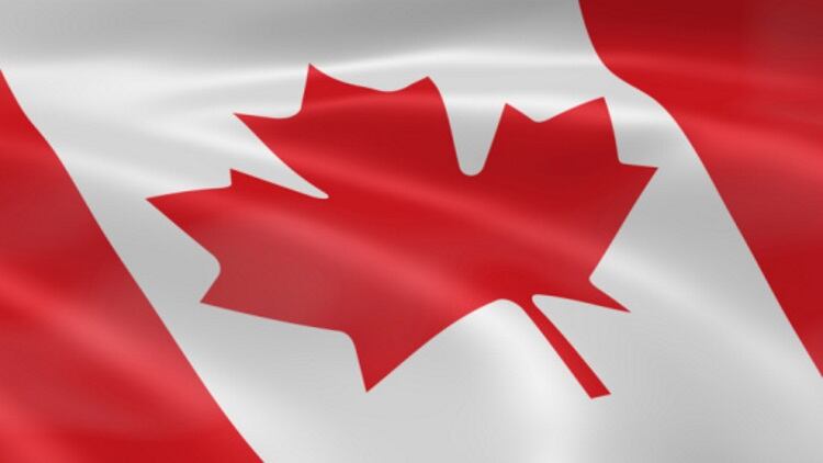 Canadian beef industry awarded $8.3m support