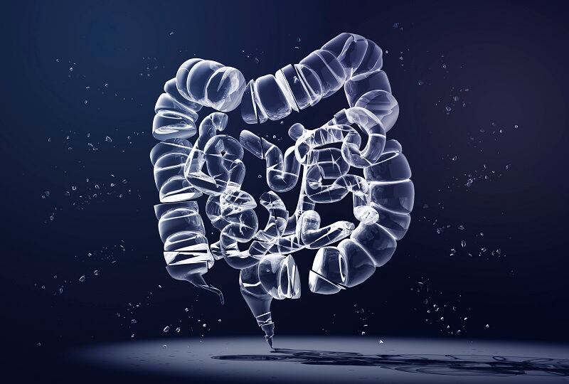 Searching-for-synbiotics-ADM-Brightseed-partner-on-next-gen-of-gut-health.jpg