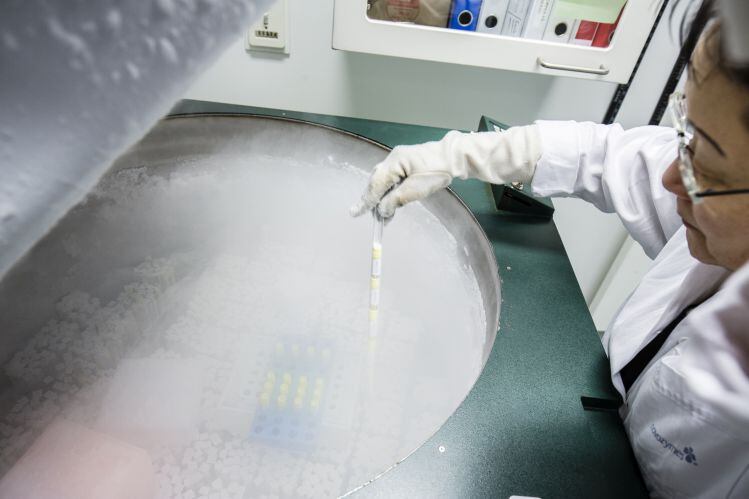 novozymes-research.jpg