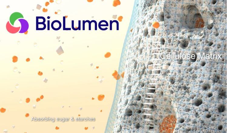 BioLumen: Structured ‘super-expanding’ natural fibers for digestive health and weight management
