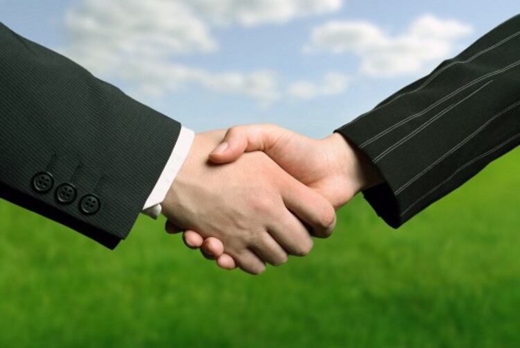 BRF and Marfrig reveal partnership discussions