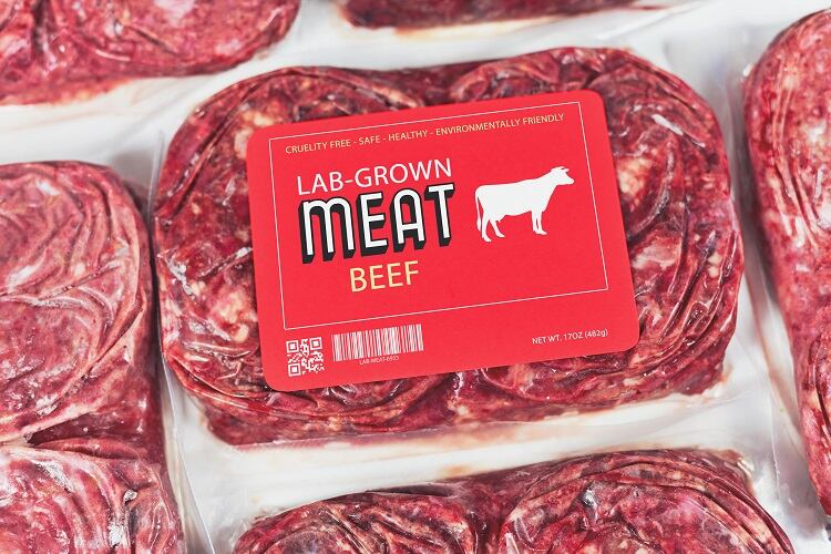 Why do consumers accept or reject cultivated meat?