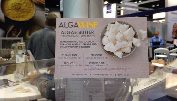 algaebutter-TerraVia-IFT-2016.jpg