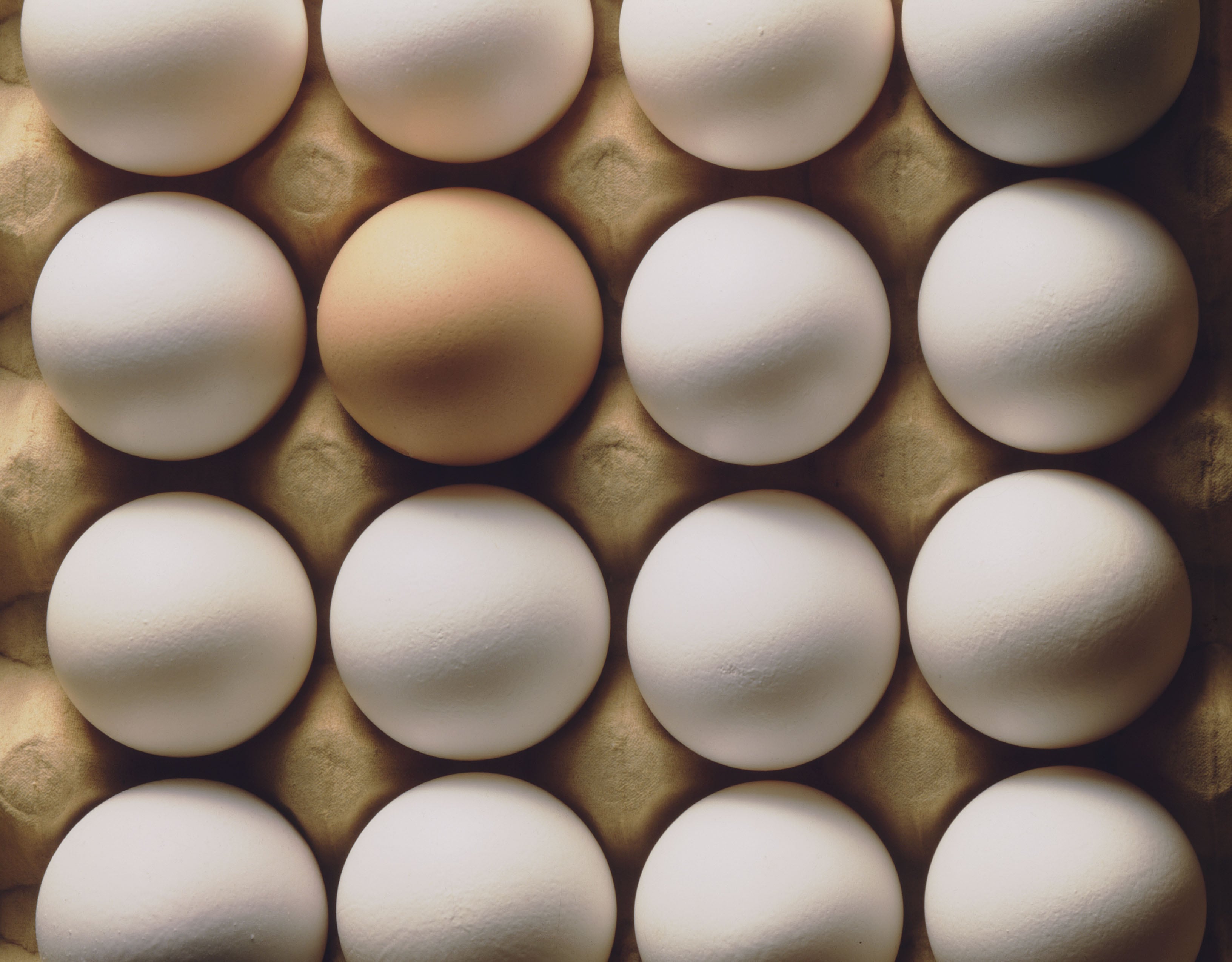 The tool functions as an online, producer-only platform that not only asks questions buyers care about, but also provides guidance on how to answer them – including definitions, context and, where needed, calculations specific to egg production.