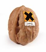 nut-allergy-istock-Daniel-Tero.jpg
