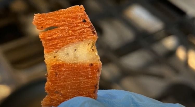PhytoFat-in-bacon.jpg