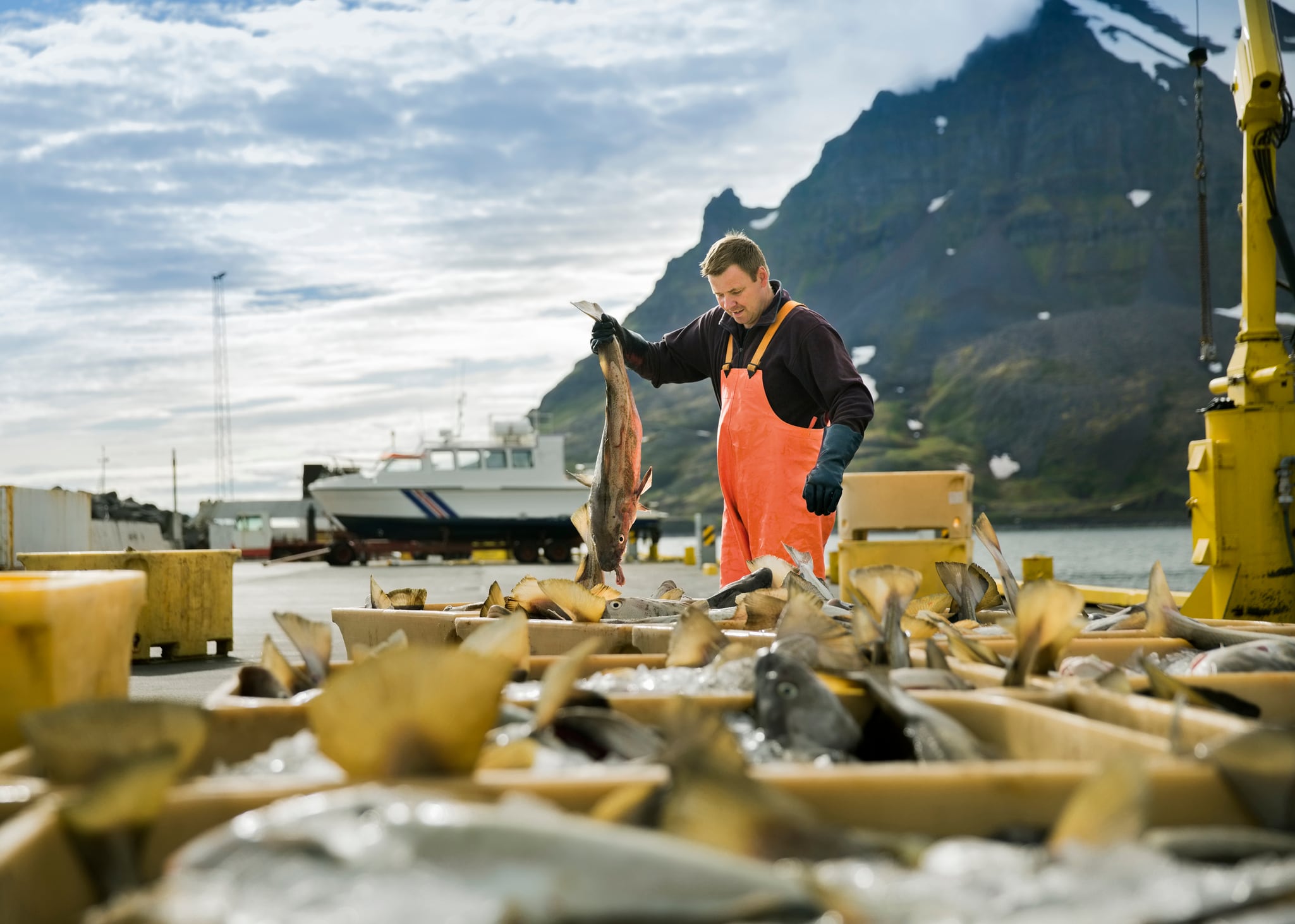 USDA creates Office of Seafood to boost US seafood competitiveness