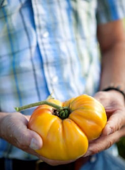 Door-to-Door-Organics-produce.jpg