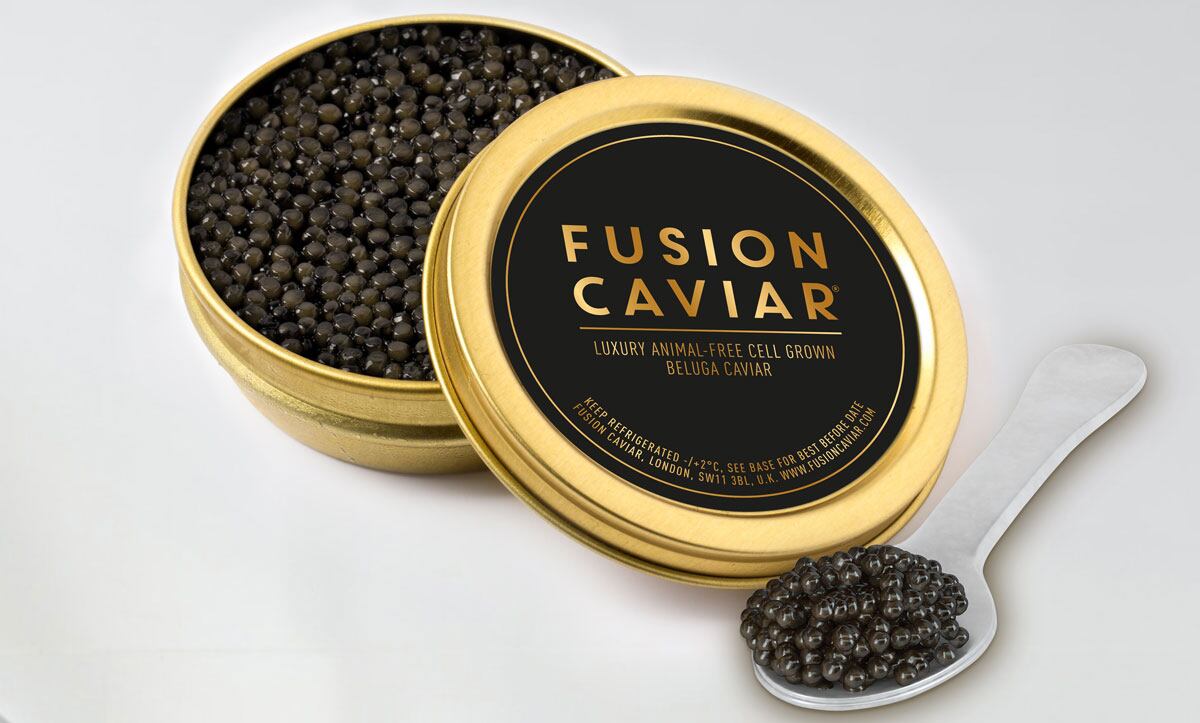 EC_Fusion_Tin.jpg
