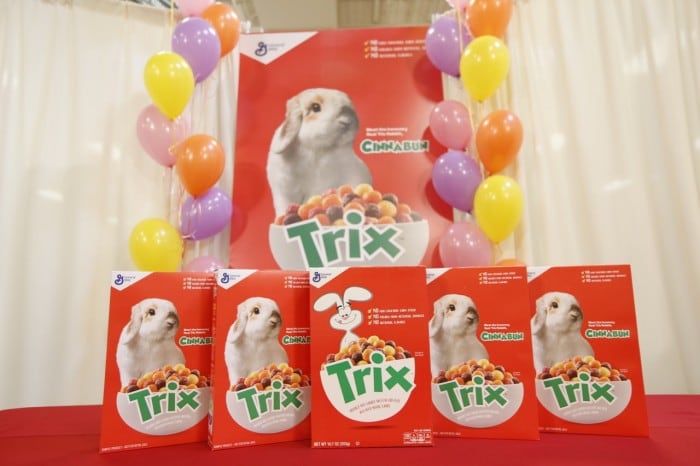Cinnbun-Display-700x466.jpg