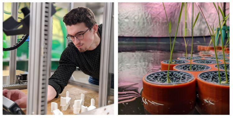 Ocean ag startup ALORA unveils ‘the most salt-tolerant terrestrial plants on the planet'