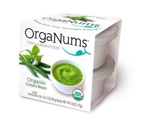organums-pic.jpg
