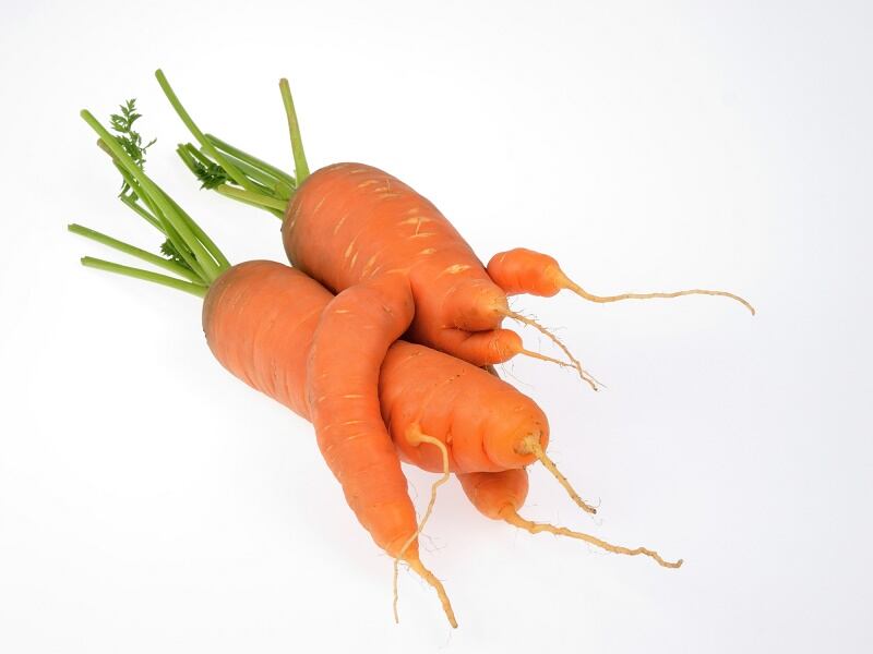 ‘Back to basics’ attitude will fuel realistic marketing, whole food sales & transparency in 2019, predicts KIND