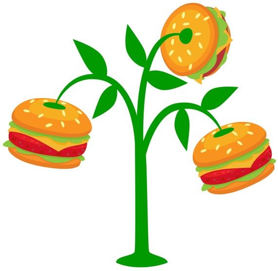 Louis-Dreyfus-Co-plans-to-enter-plant-protein-market-later-this-year-with-initial-focus-on-North-America.jpg