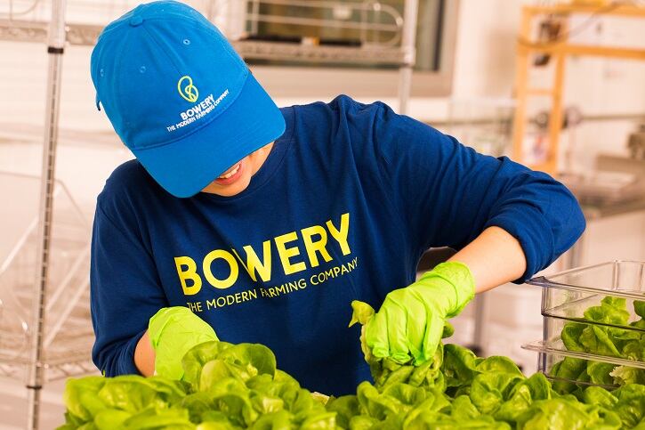 Bowery expands indoor farming to Baltimore area with an eye towards more sustainable production globally