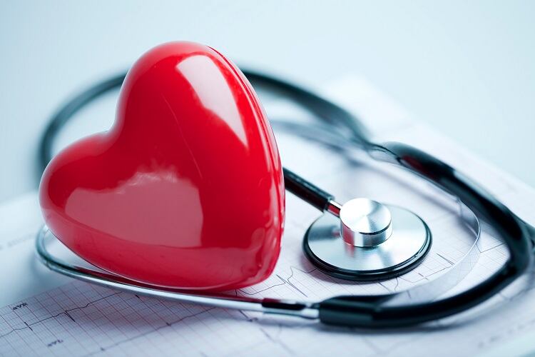 Is-a-high-protein-diet-damaging-to-heart-health.jpg