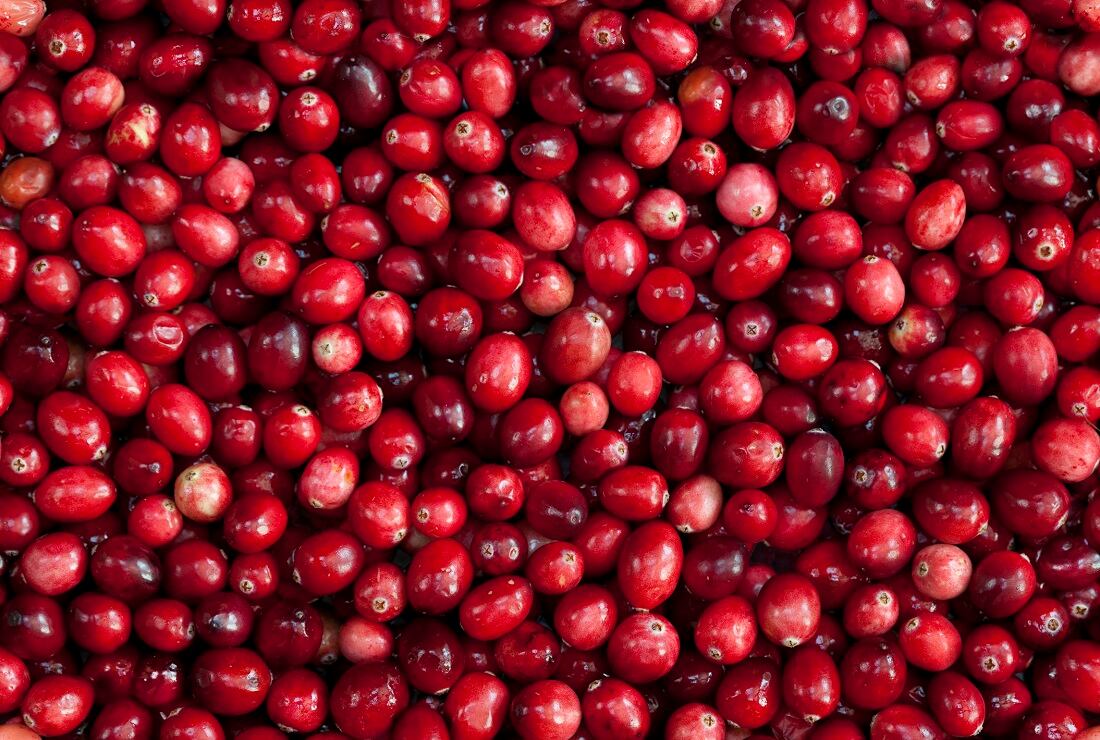 Daily-cranberry-consumption-may-lead-to-heart-health-benefits-study-finds.jpg
