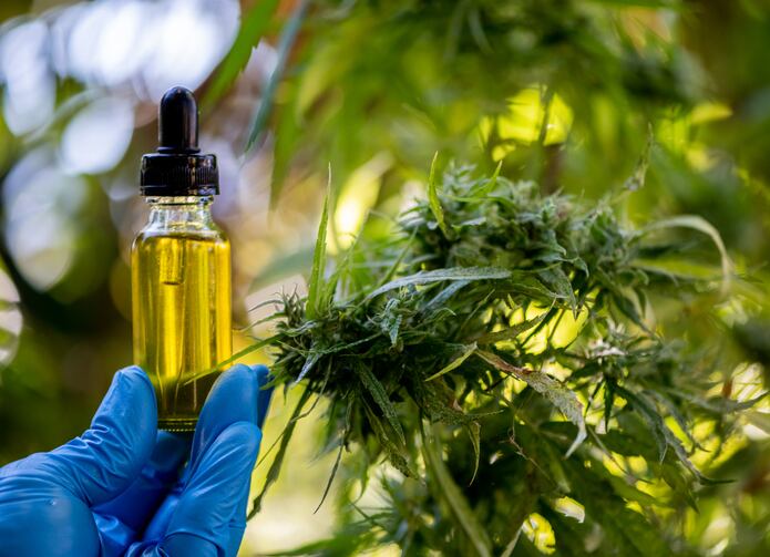 FDA rejects two NDI filings on full spectrum hemp extracts