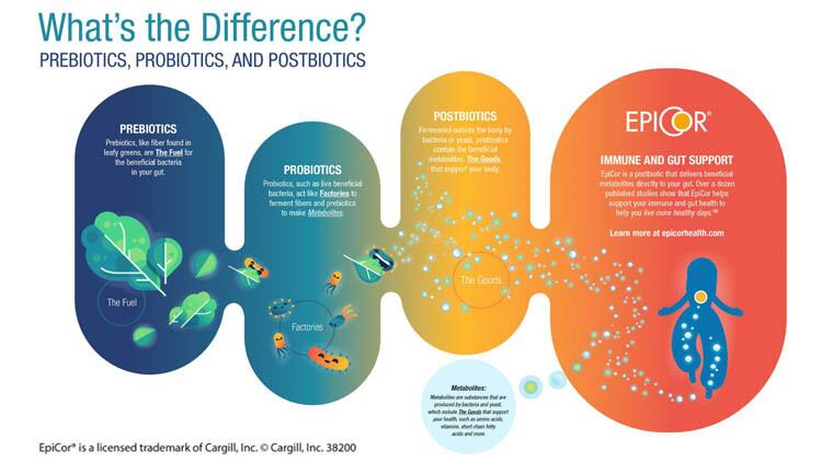 The-Future-of-Immune-and-Gut-Health-Postbiotics.jpg