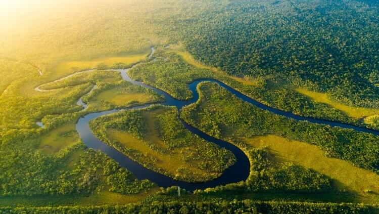 Marfrig Foods passes Amazon cattle sourcing audit