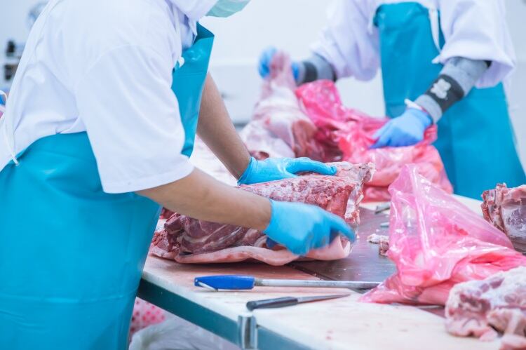 Concerns over US meat supply chain following plant closures