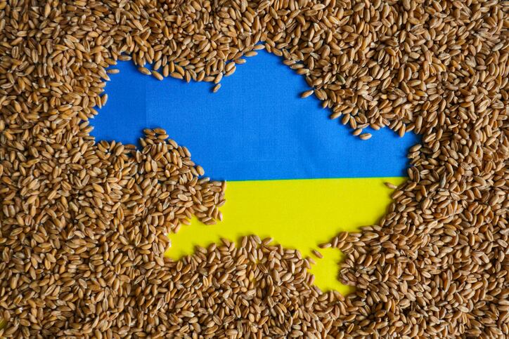 Fears for further food price spikes as Russia pulls out of Black Sea grain deal