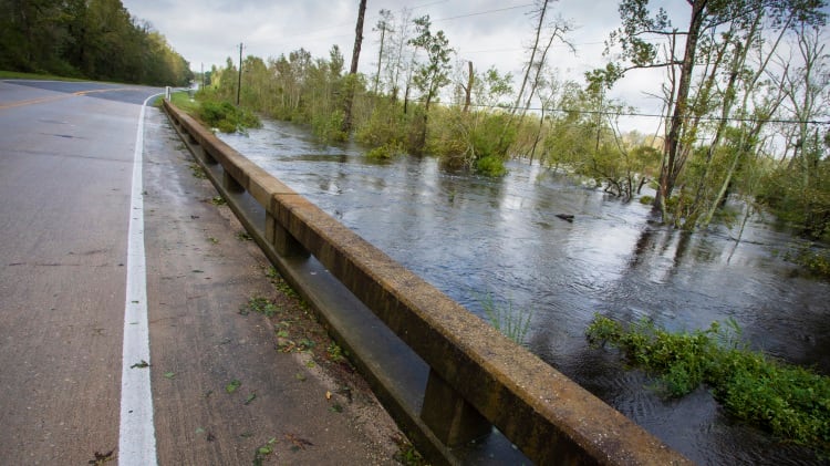 Florence exposes North Carolina’s livestock industry