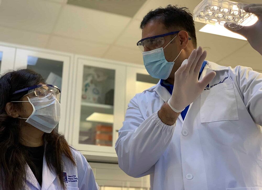 TurtleTree opens R&D center in California accelerating path to market for cell-based milk