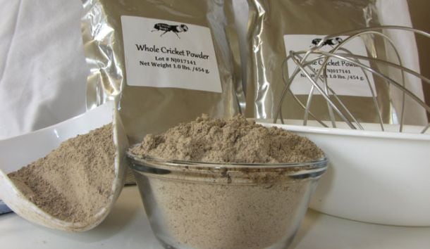 BugFood-CricketPowder.jpg