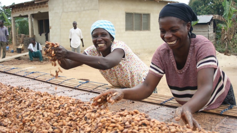 Fairtrade America ends 2022 with new partners and increased commitments