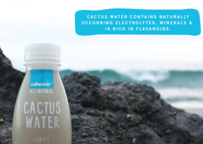 Cactus-water.jpg